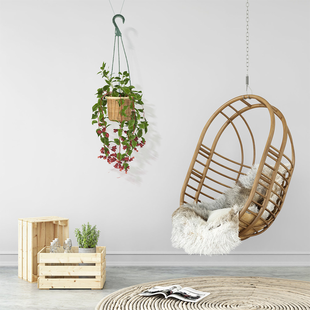 Spider Plant Hanging - Ensemble de 5 crochets pour jardinières