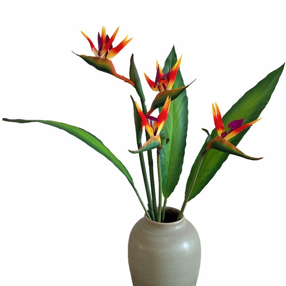 Plantes artificielles décorati - Bird Paradise Strelitzia avis et prix