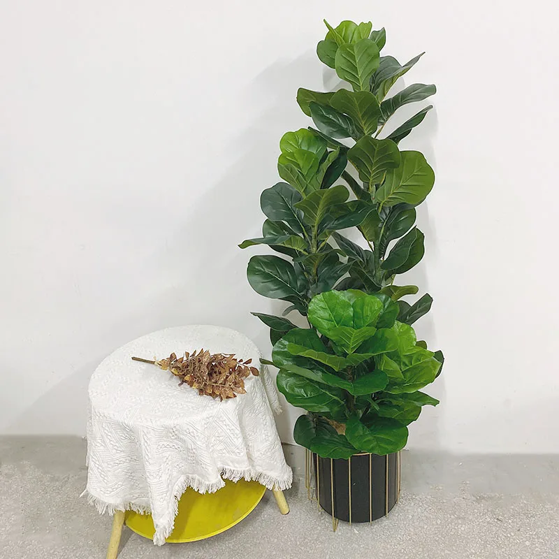 Grand Ficus Lyrata artificiel  - Ficus Lyrata Tree avis et prix