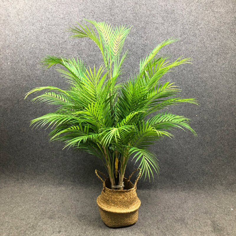 Grand palmier artificiel de 12 - Dracaena Marginata avis et prix